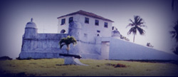 forte5